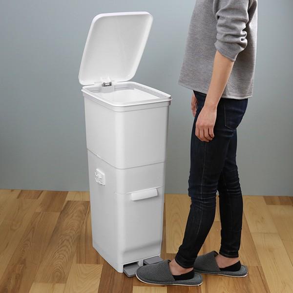 ゴミ箱 ふた付き 分別 ツインペダルペール ネオカラー 2段 46L 幅28.5 