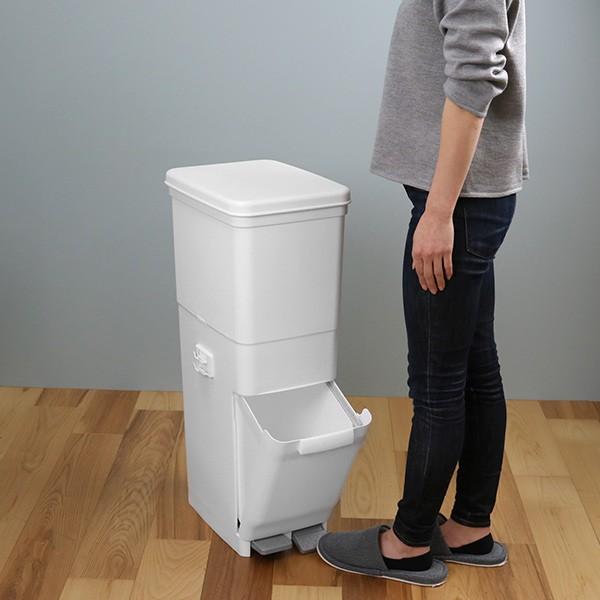 ゴミ箱 ふた付き 分別 ツインペダルペール ネオカラー 2段 46L 幅28.5