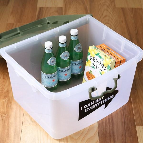収納ボックス L 幅45×奥行38×高さ26cm フタ付き プラスチック 日本製