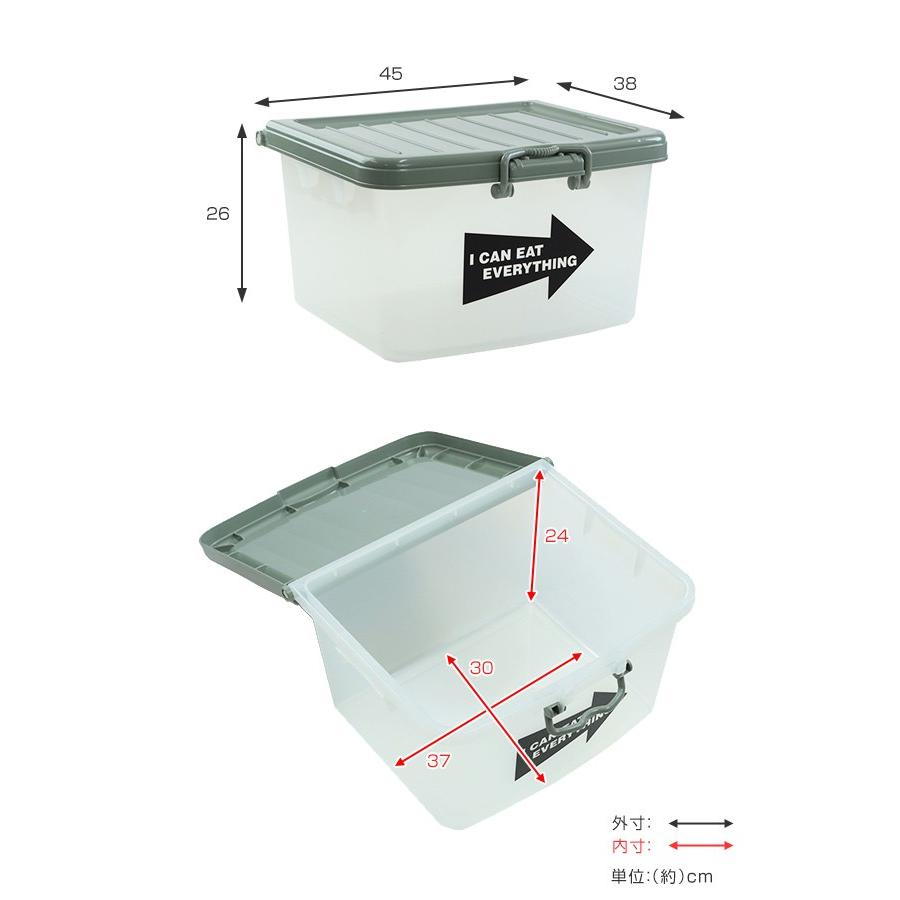 収納ボックス L 幅45×奥行38×高さ26cm フタ付き プラスチック 日本製