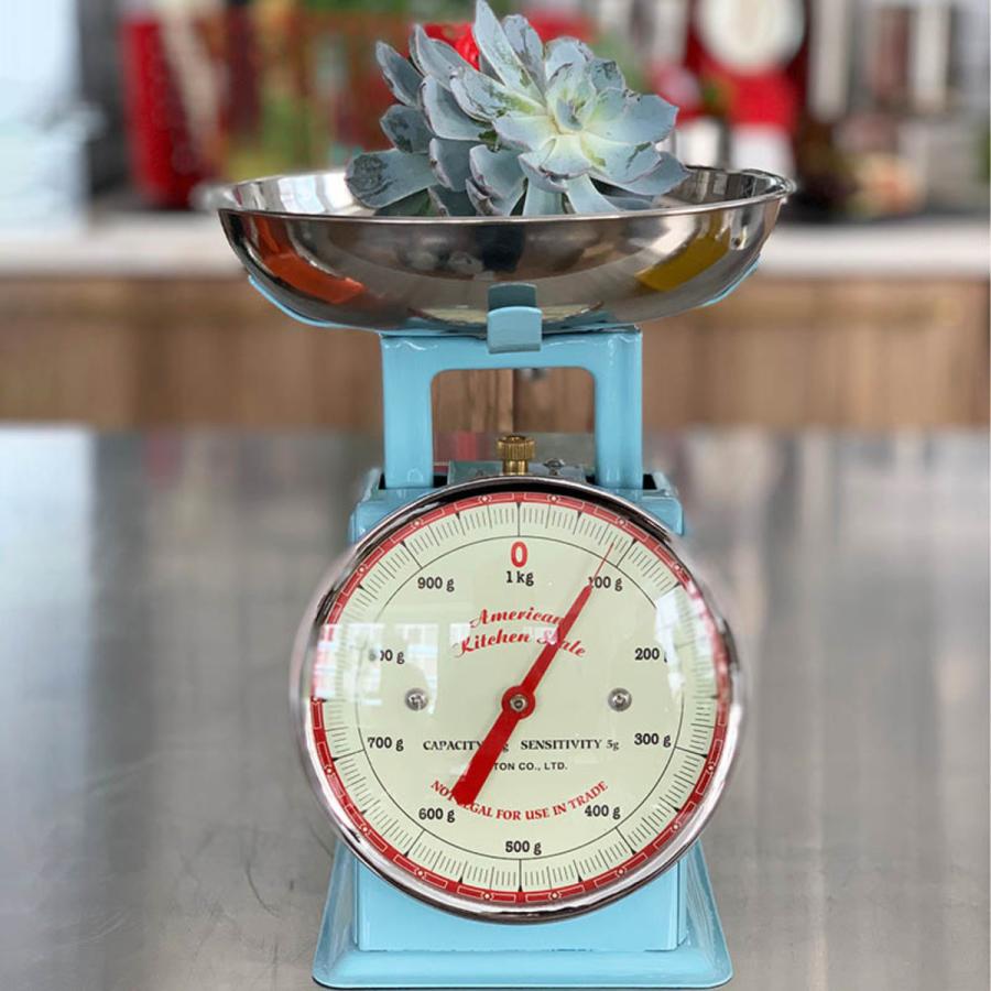 DULTON（ダルトン） キッチンスケール アメリカン （ はかり 計量器