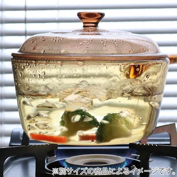 パール金属 両手鍋 1.5L ガラス製 VISIONS クックポット （ ガス火専用