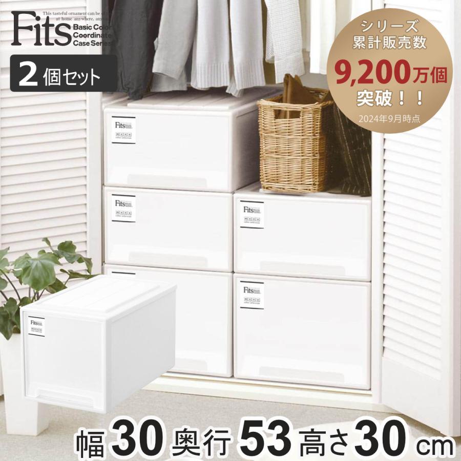 Fits 収納ケース フィッツケース クローゼット L-30 2個セット