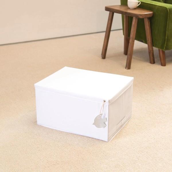 収納ボックス スッキリコ L 幅46×奥行34×高さ25cm ボックス フタ付き