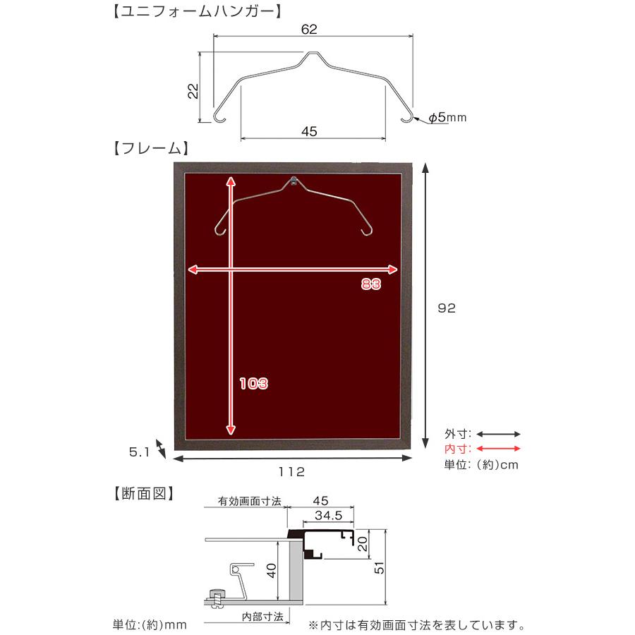 ユニフォーム 収納 ユニフォーム額 L203 Lサイズ フレーム セピア （ 額 ディスプレイ 額縁 ユニフォームケース 扉式 L ）｜interior-palette｜12