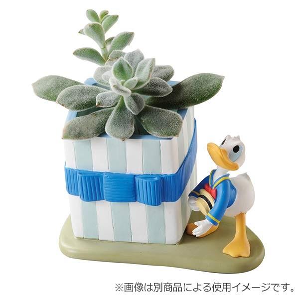 Disney（ディズニー） ミニプランター ギフト ミッキーマウス