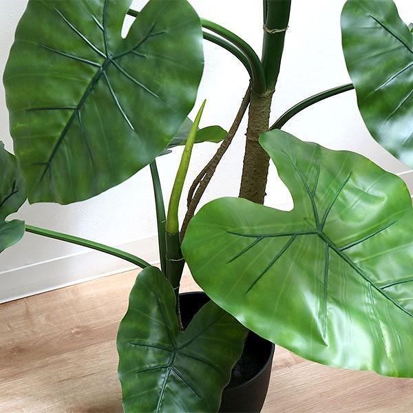 光触媒 人工観葉植物 ウォールグリーン フェイクグリーン クワズイモ