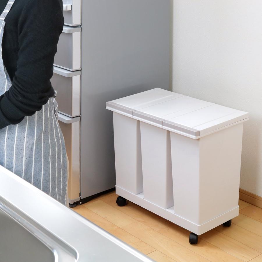 アスベル（ASVEL） ゴミ箱 分別 3分別 20L 防臭 密閉 分別ゴミ箱 横型