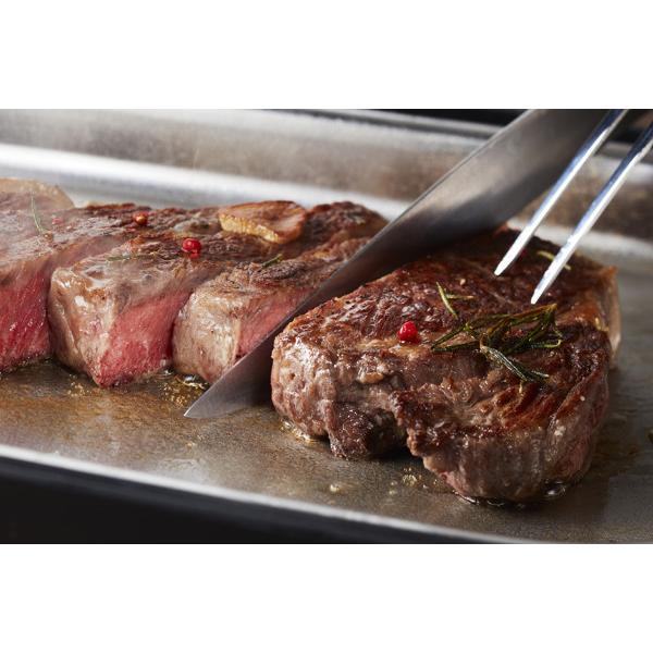 当店限定 ホットプレート ステンレスホットプレート Mr Steak House ミスターステーキハウス ステンレス ターナー付 焼肉 1000w 調理器具 本格 交換無料 Www Centrodeladultomayor Com Uy