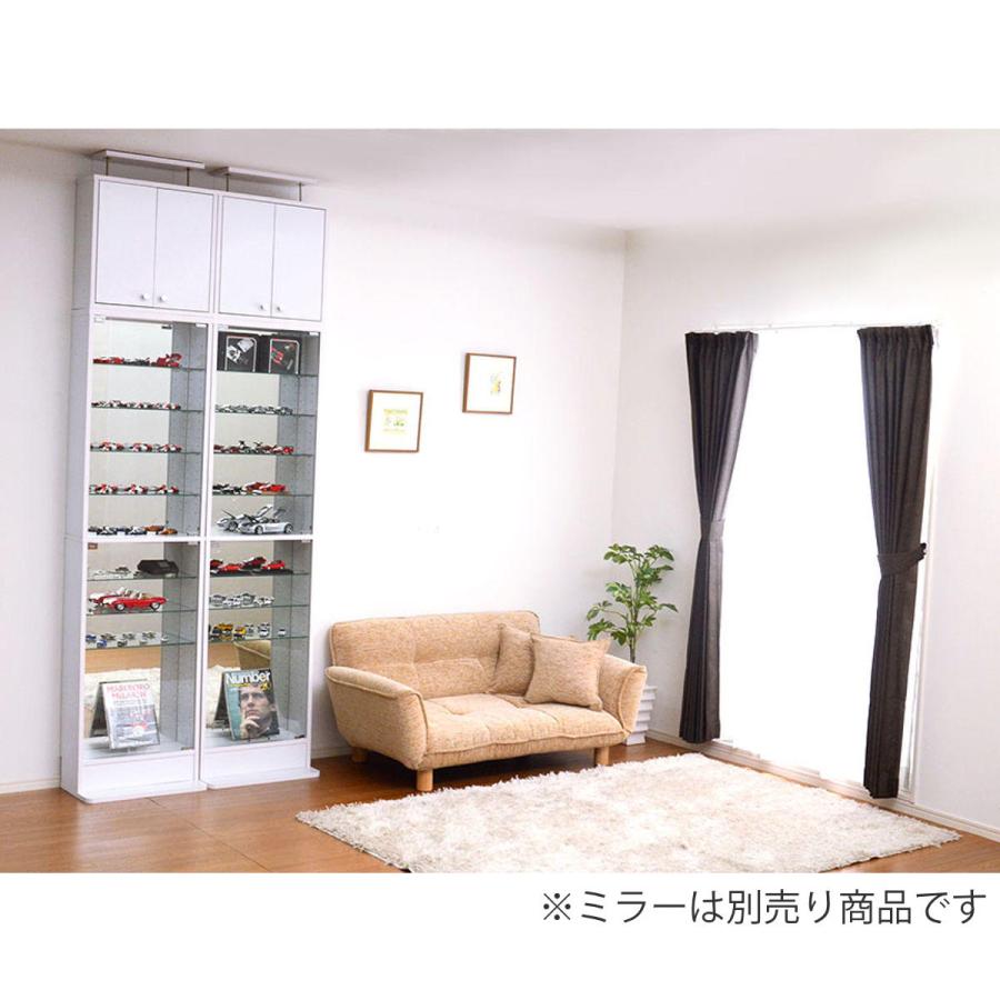 ホームテイスト コレクションラック 幅48.5cm 浅型 上置きセット 