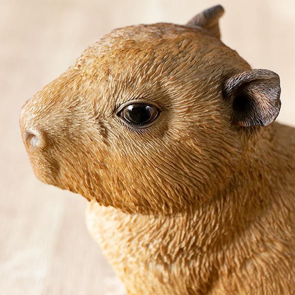 カピバラ 貯金箱 リアル オブジェ 置物 インテリア （ 雑貨 動物