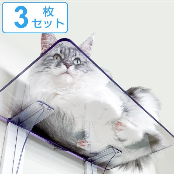 キャットステップ 3枚セット Cat Steps 壁 ワイドステップ 透明 クリア キャットウォーク （ キャットタワー ネコ ステップ ねこ 猫 ）