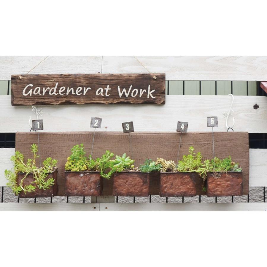 ガーデンピック☆5点セット ガーデンピック☆5点セット 楽天市場】【最大2,000円クーポン