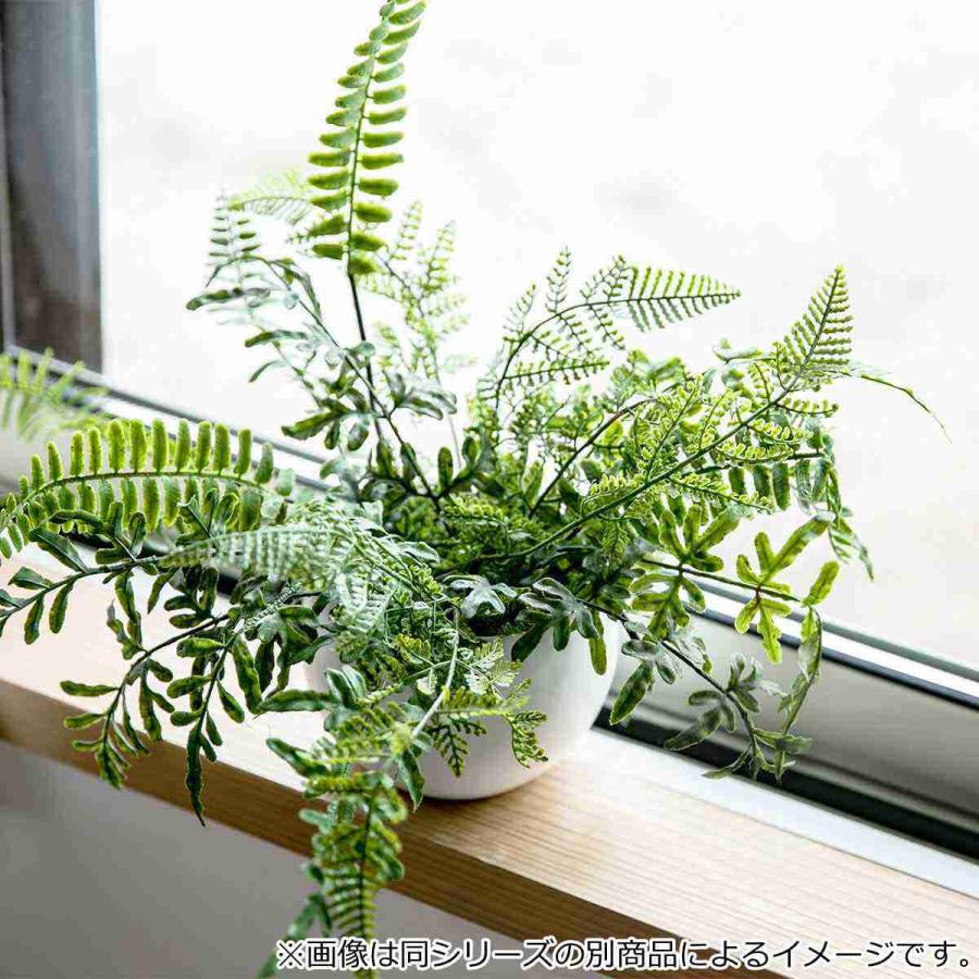 フェイクグリーン シュガーバイン エクリア ハンギング （ 人工観葉植物 インテリアグリーン 観葉植物 おしゃれ 造花 リアル 室内 消臭 抗菌 防汚 吊り下げ ）｜interior-palette｜07