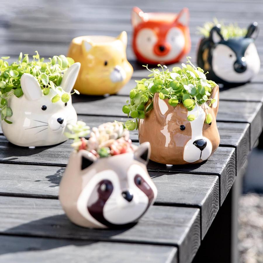 プランター アニマル ポット （ 植木鉢 プラントポット 陶器 鉢植え 鉢