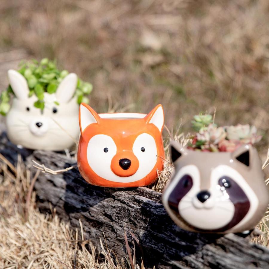 プランター アニマル ポット （ 植木鉢 プラントポット 陶器 鉢植え 鉢