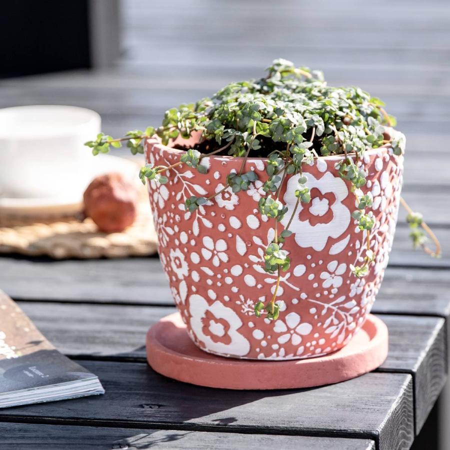 植木鉢andソーサー✳︎POT観葉植物✳︎園芸プランター プランター クッカ ポット L （ 植木鉢 プラントポット 鉢植え 鉢 寄せ
