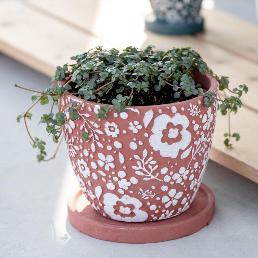 プランター クッカ ポット L （ 植木鉢 プラントポット 鉢植え 鉢 寄せ
