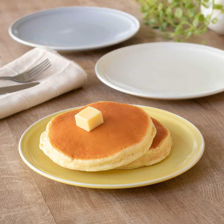  プレート中皿2枚　AMHERST 皿 プレート 23cm シエル 磁器 美濃焼 （ 食洗機対応 電子レンジ対応