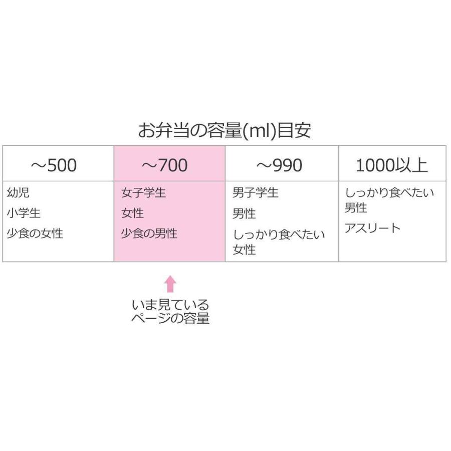 弁当箱 1段 550ml 抗菌 パッキン一体 キャスミン （ お弁当箱 ランチボックス レンジ対応 食洗機対応 一段 銀 AG 女子 ）｜interior-palette｜17