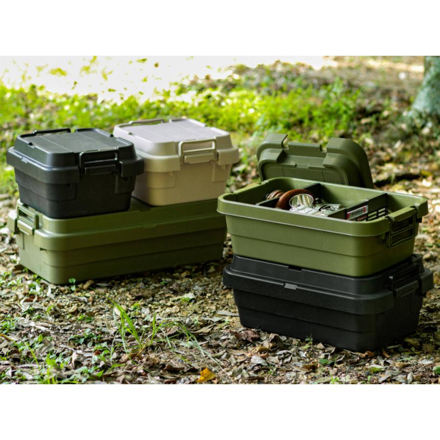 RISU（リス） 収納ボックストランクカーゴ LOW TC-70S 40L 幅78×奥行39