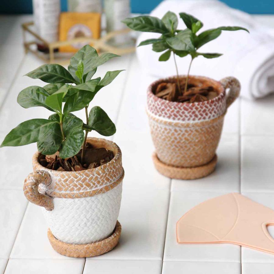 SPICE of Life（スパイス オブ ライフ） プランター 編みかご マグ