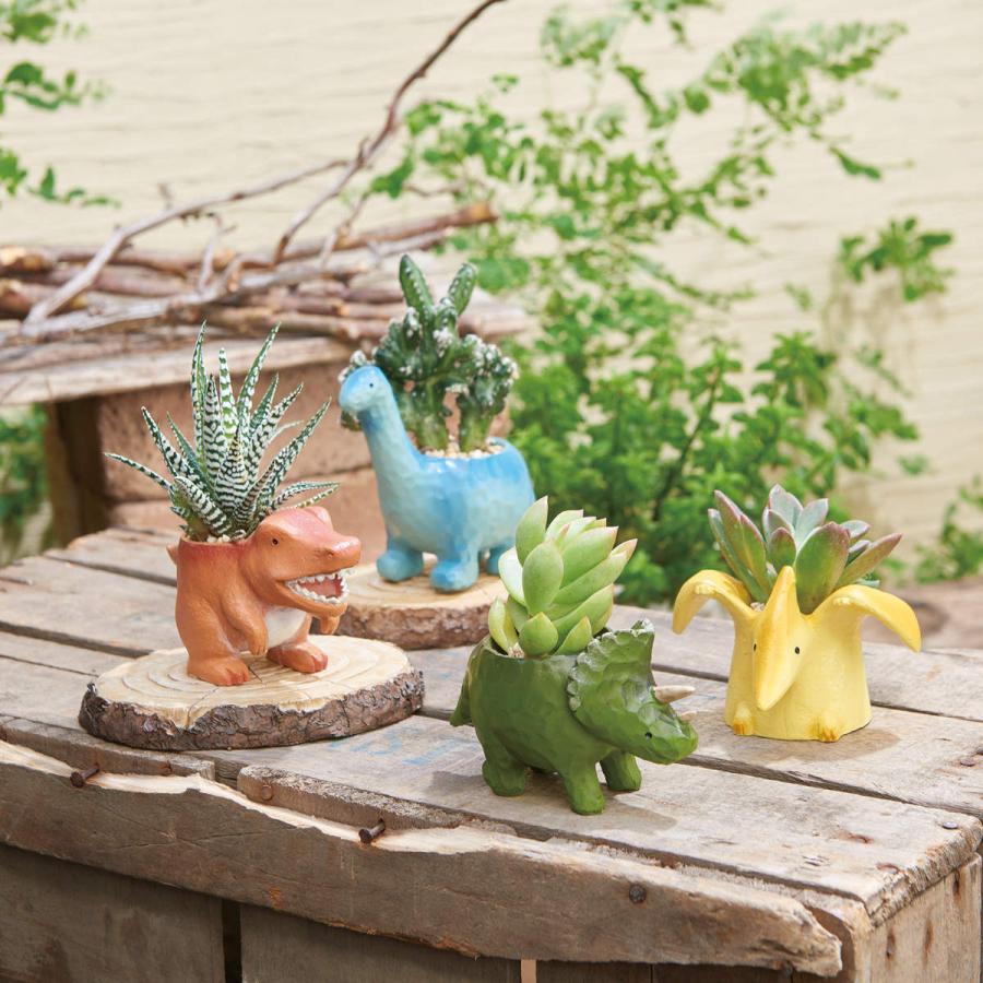 プランター 恐竜シリーズ ティラノサウルス （ 植木鉢 プラントポット