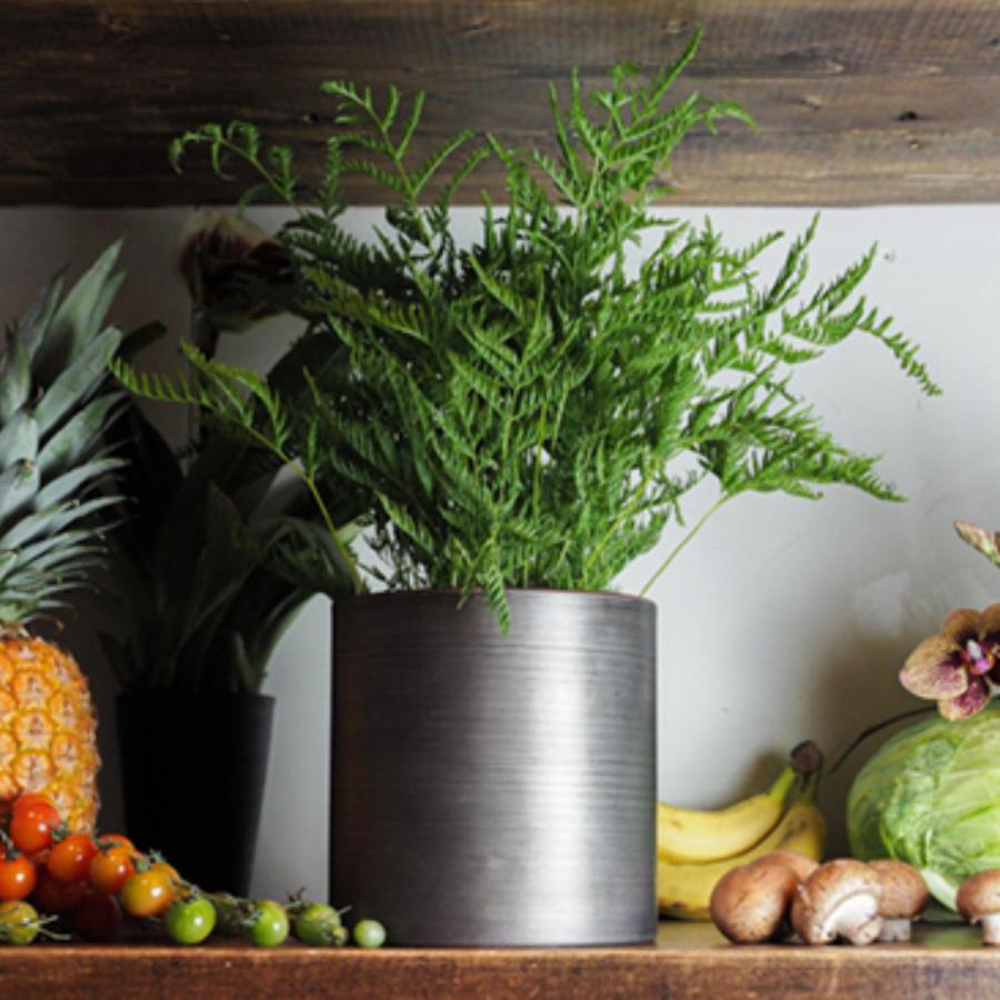 プランター MC円柱ベース 直径17×高さ17cm アイアン （ 植木鉢