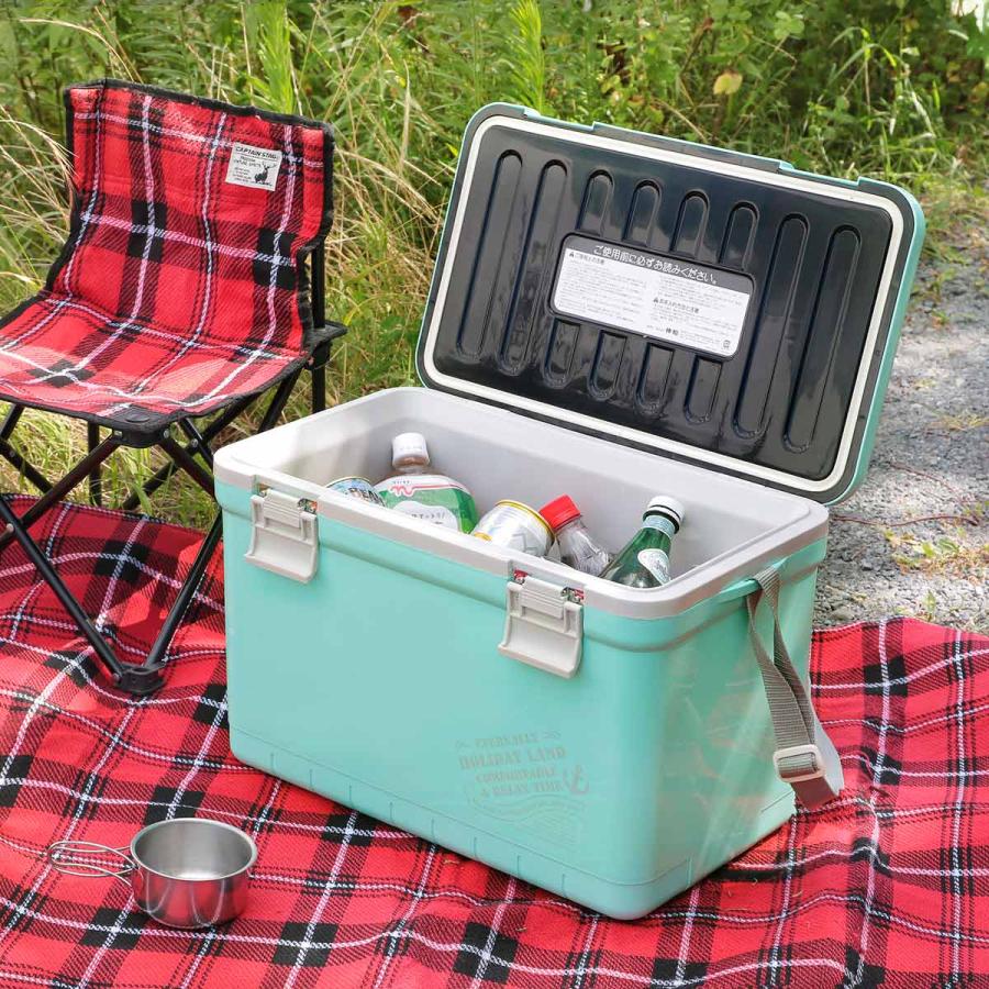 伸和（SHINWA） クーラーボックス 22L ホリデーランドクーラー ハード