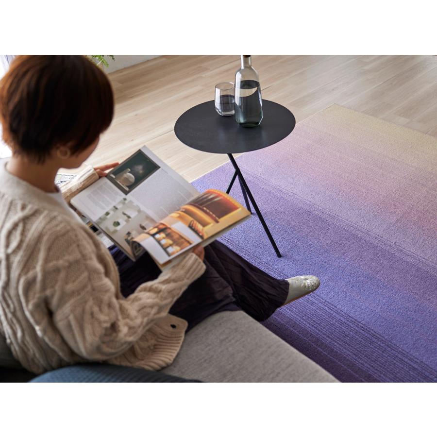 ラグ スミノエ ソライロ 190×190cm 防ダニ加工 アレルブロック （ カーペット 絨毯 マット ラグマット 機能ラグ 正方形 2畳 日本製 ） 人気・おすすめ｜使いやすい・旅行におすすめ 品質保証 全国発送 在庫限り