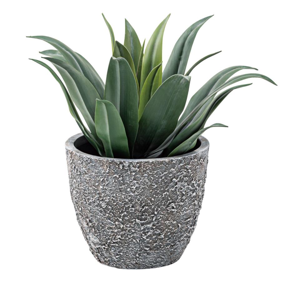 鉢・プランター GreenLife 楽天市場】(（メーカーグリーンライフ）（植木鉢・プランター