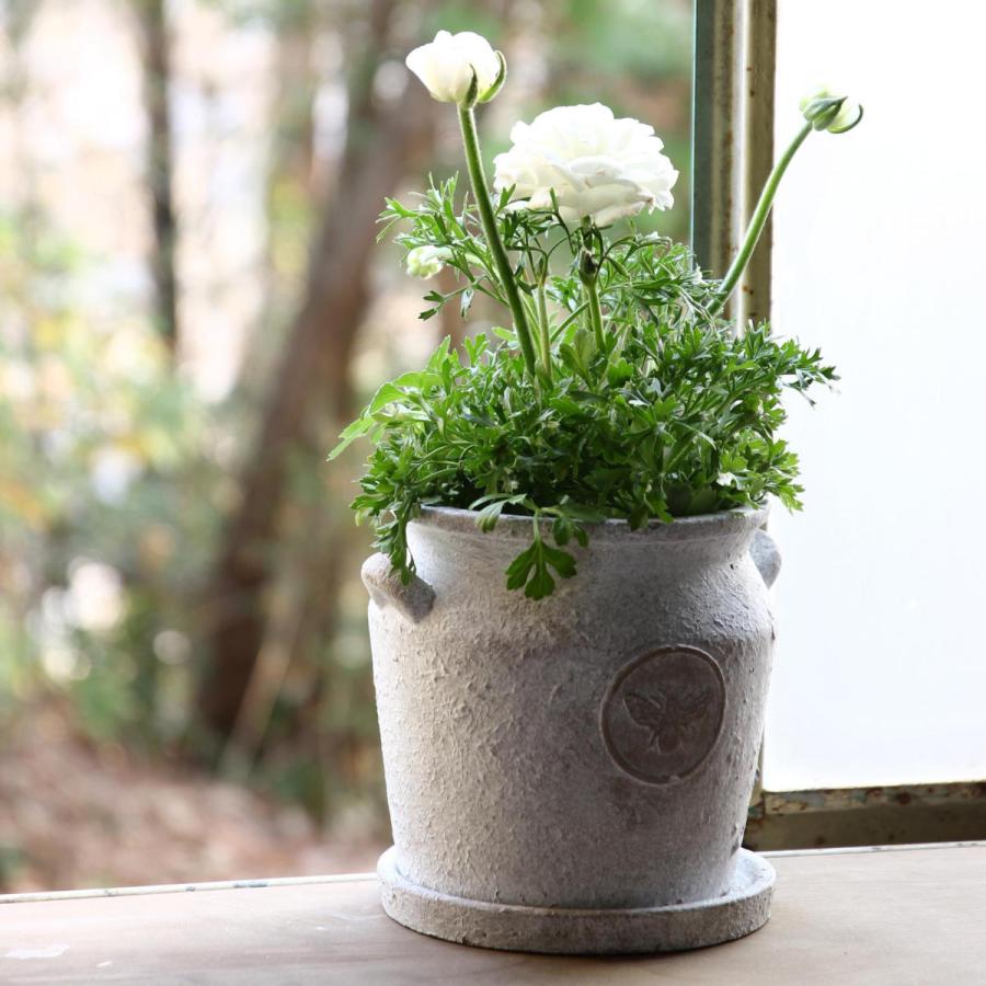 植木鉢 HONEYBEE ミルクポットプランター Sサイズ （ プランター プラントポット 植物用ポット 鉢 花器 鉢カバー ポット セメント