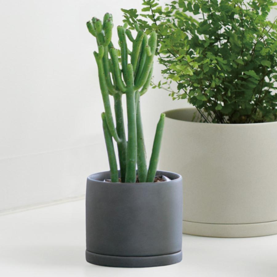 KINTO（キントー） プラントポット 191_ 85mm （ プランター 8.5cm