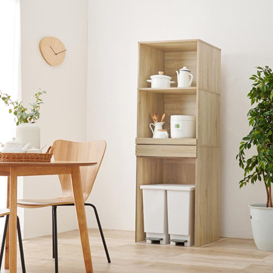 HAGiHARA（萩原） キッチンラック 北欧風 ゴミ箱収納ラック 幅58cm