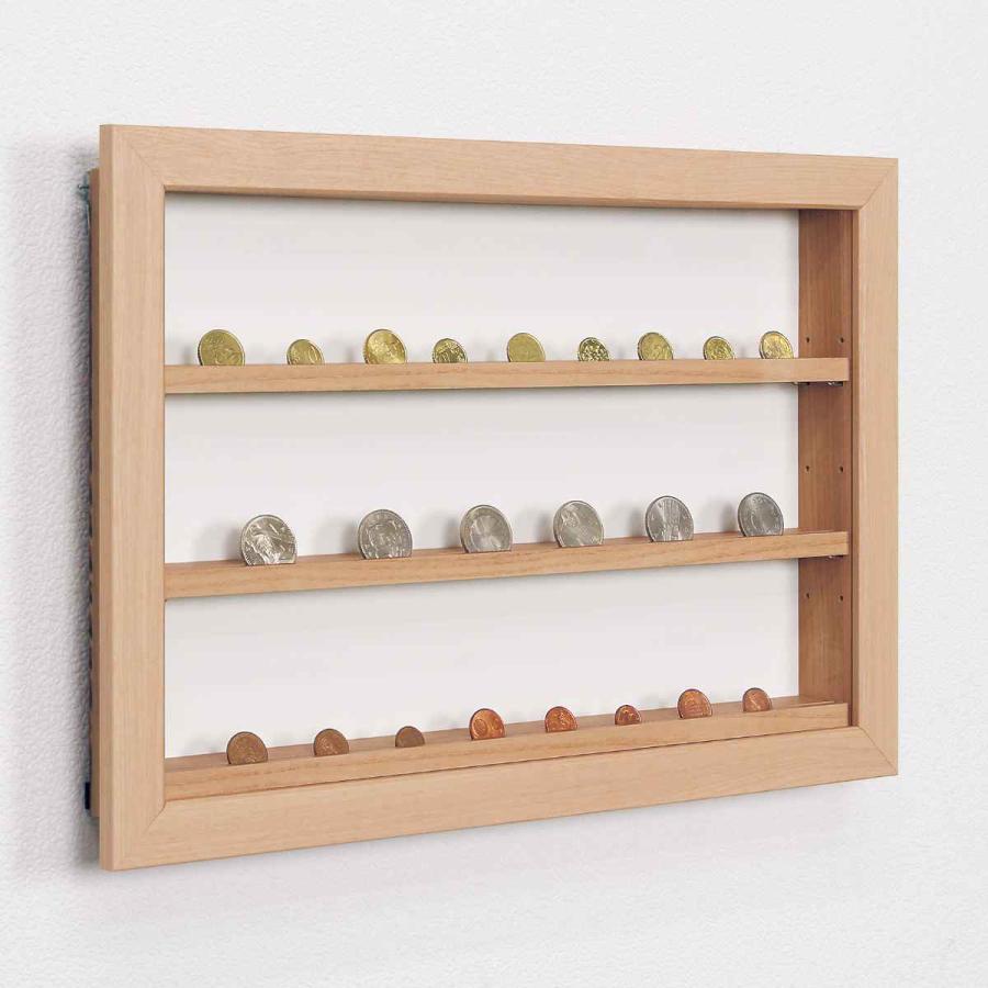 コレクションケース 47.9×32.9cm 壁掛け カバー扉 カード コイン 収納