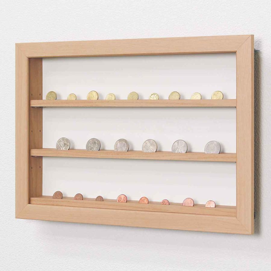 コレクションケース 47.9×32.9cm 壁掛け カバー扉 カード コイン 収納