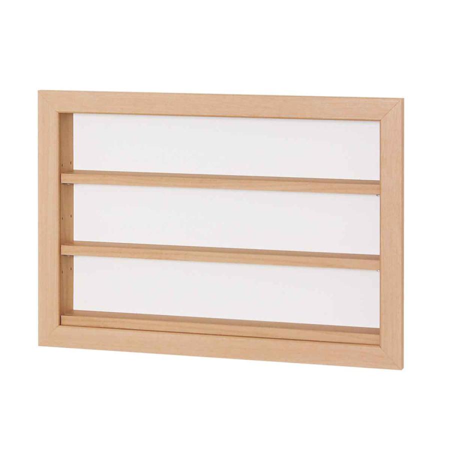 コレクションケース 47.9×32.9cm 壁掛け カバー扉 カード コイン 収納