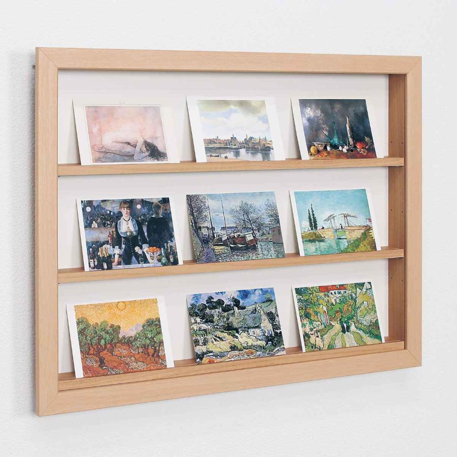 コレクションケース 62.9×47.9cm 壁掛け カバー扉 カード コイン 収納 L408 （ カードケース ケース