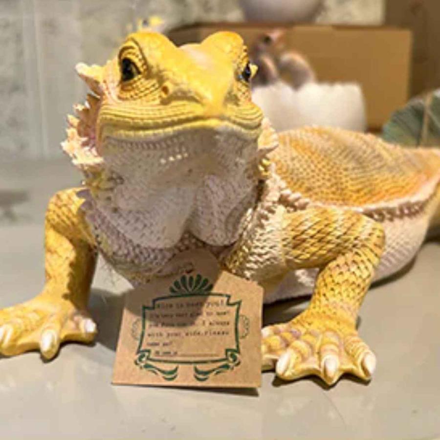 magnet オブジェ フトアゴヒゲトカゲ ペットバンク 貯金箱 （ トカゲ