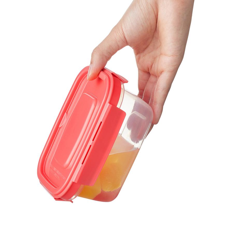 EBiSU（エビス） 保存容器 480ml パックスタッフ ジャストロック