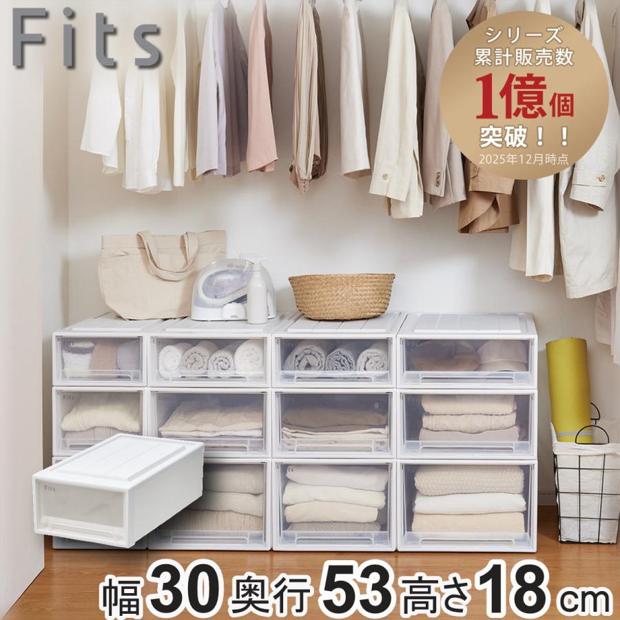Fits 収納ケース フィッツ フィッツケース クローゼット S-30 （ 衣装