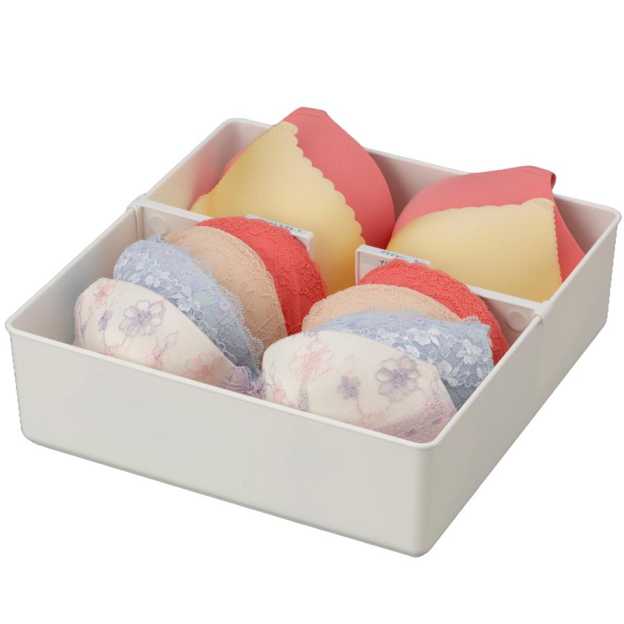 イノマタ化学 仕切りボックス 下着収納ケース L 仕切り付 幅29.2×奥行