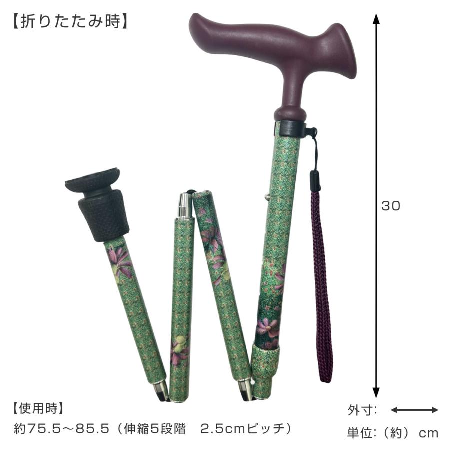 フジホーム 杖 折りたたみ 5段階調節 デザイナーズアートステッキ