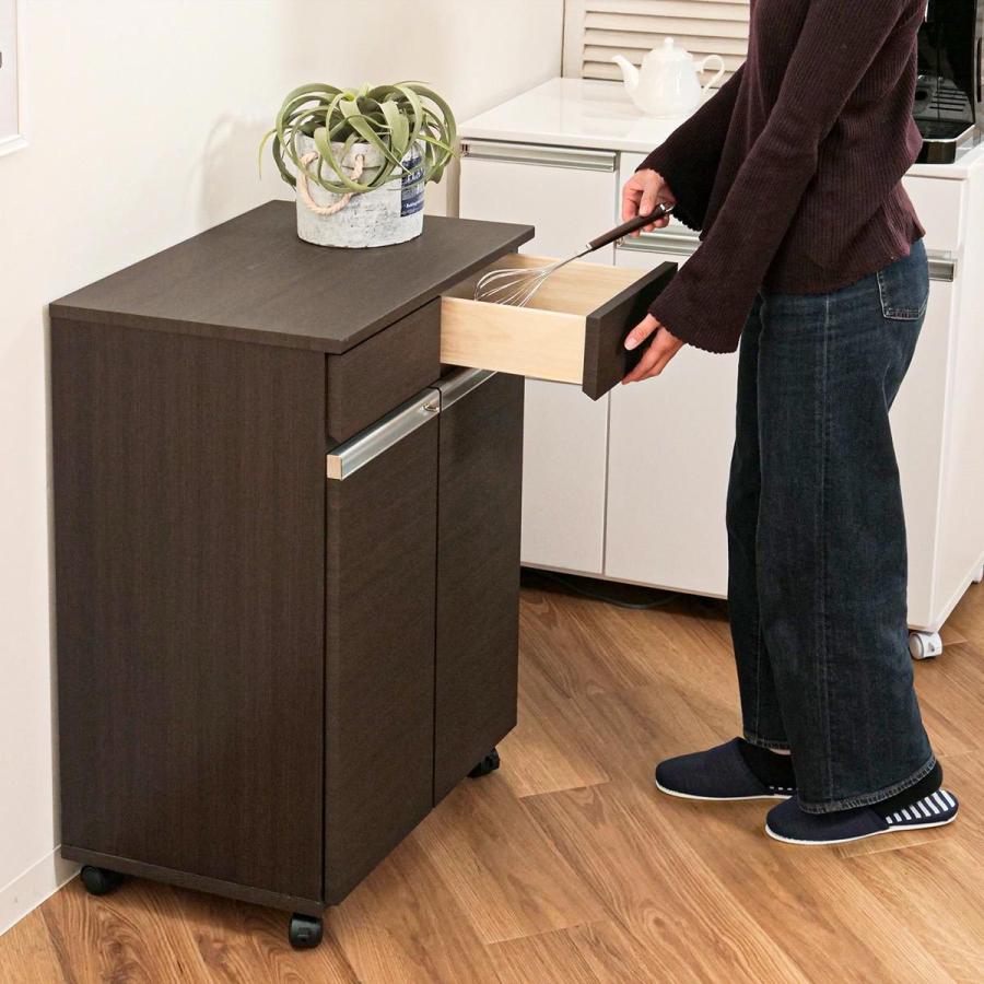 ゴミ箱 38L 2分別 カウンター型 幅55cm 完成品 （ ごみ箱 19L×2 