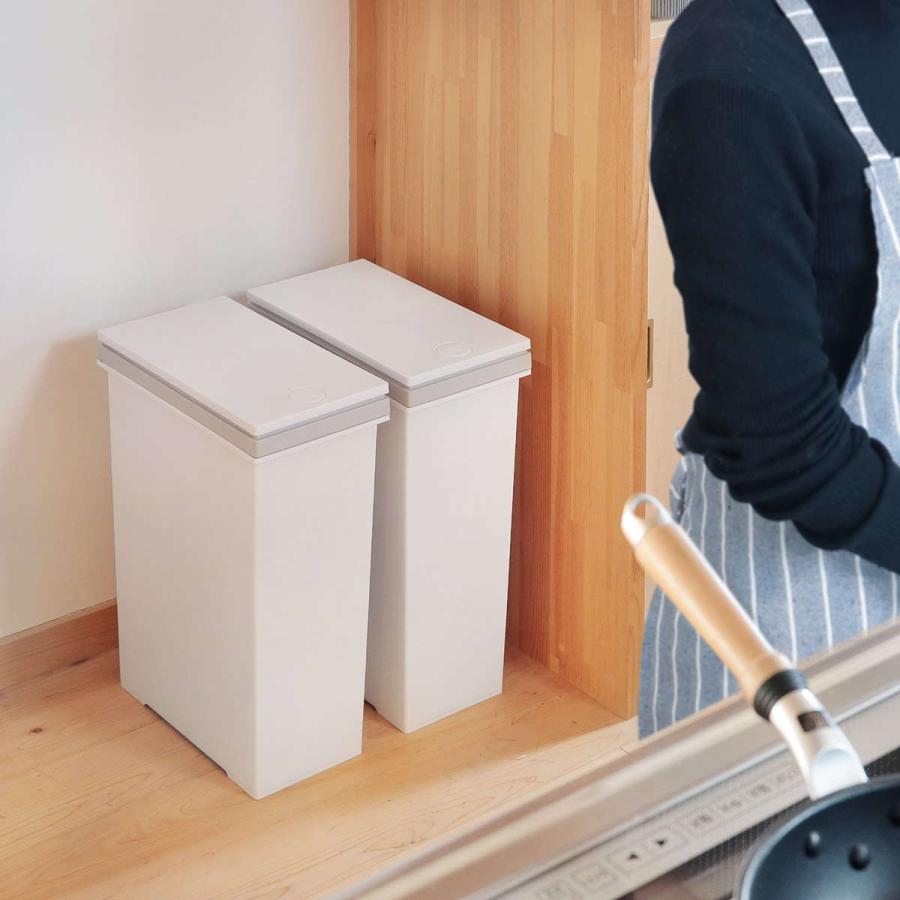 アスベル ゴミ箱 60L 資源ゴミ 横型 3分別ワゴン （ ごみ箱 60