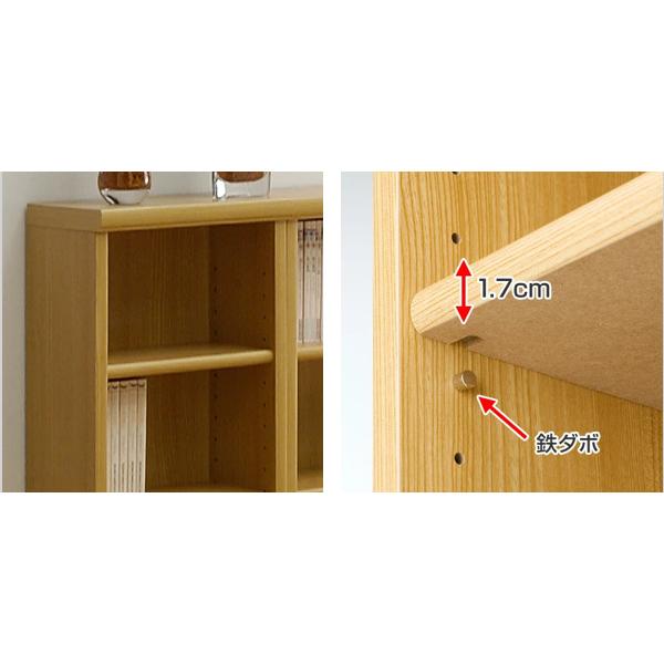 専用追加棚板 オーダー本棚 奥行19cm 本体幅30-44cm用 （ オーダー