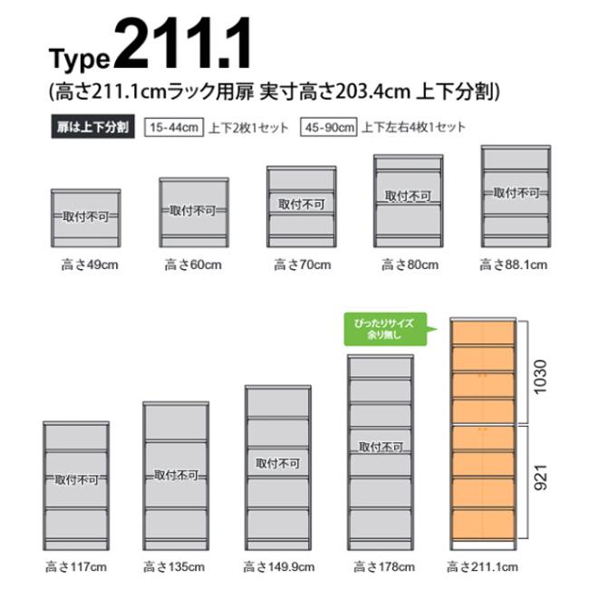 オーダー本棚用扉 高さ211cm 幅25-44cm type211.1 （ オーダーメイド