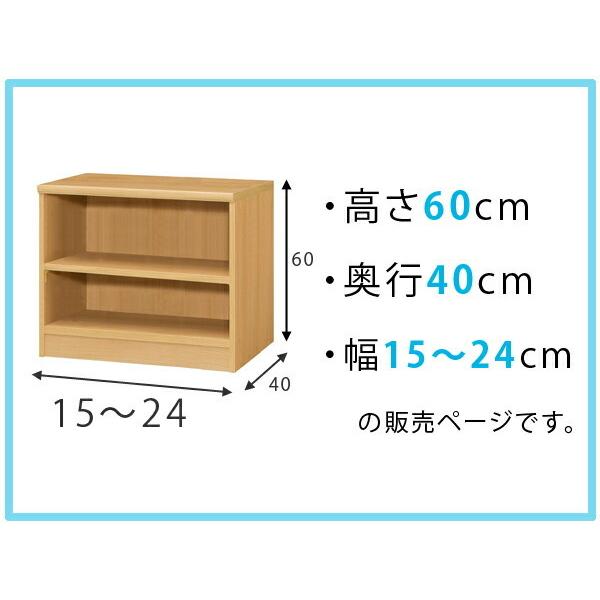 オーダー本棚 標準棚板タイプ 幅15-24cm 奥行40cm 高さ60cm （ 収納棚 書棚 本棚 オーダー ラック 壁面収納 書庫 日本製 ）｜interior-palette｜02