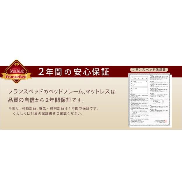 秋冬の主役◎ フランスベッド　グランディ　GRANDY 01F-TSN　Dフレーム　縦跳ね上げ式収納タイプ　ダブルサイズ 　フラット シンプルヘッドボード　カラー3色 【2836168352】(100408円)
