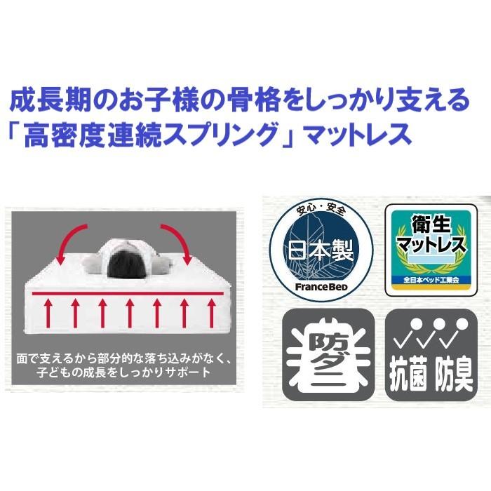 フランスベッド（FRANCEBED） JM-101S 高密度連続スプリング 薄型